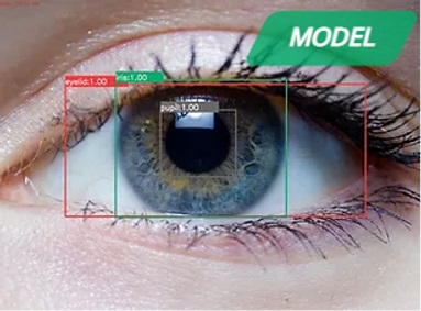 Pupil, Iris, Sclera Detector