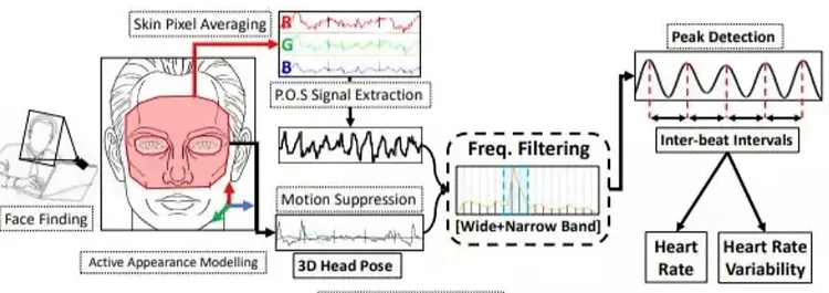 heartrate measuring